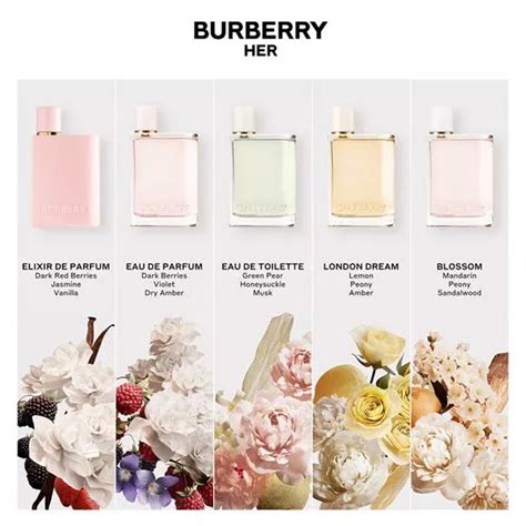 burberry her perfume.|burberry perfume her collection.